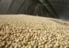 Agropecuária cresce 1,9% nos três primeiros meses do ano