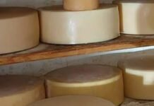 Cidades da Mantiqueira produtoras de queijos artesanais são reconhecidas