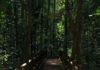 ICMBio autoriza reabertura do Parque Nacional de Brasília