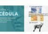 Cédula de R$ 200 entra em circulação hoje