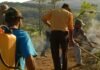 Queima controlada na agricultura tem novas regras