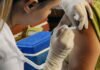 Campanhas de vacinação contra sarampo e gripe são estendidas