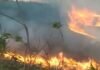 Incêndio já devastou cerca de 35% da unidade de conservação do parque de Ibitipoca