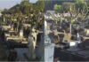 Cemitério Municipal celebra Finados sem missas e espera cerca de dez mil visitantes
