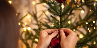 Cemig orienta para instalação segura de enfeites de Natal